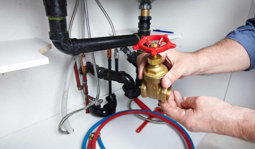 Excellence in Plumbing Maintenance