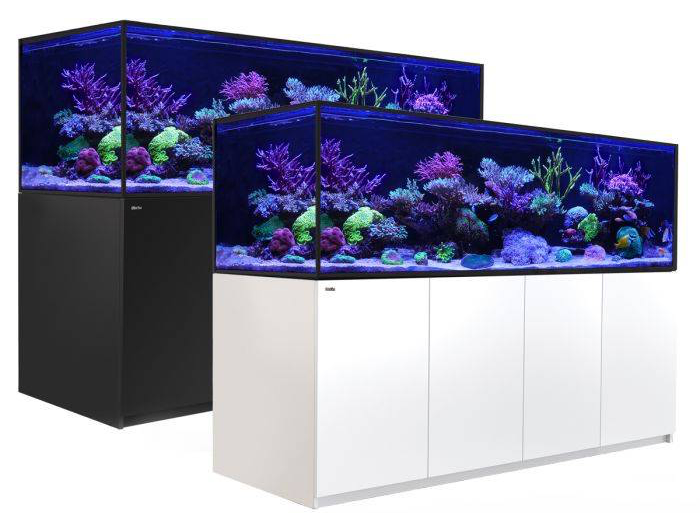 custom aquariums san marcos